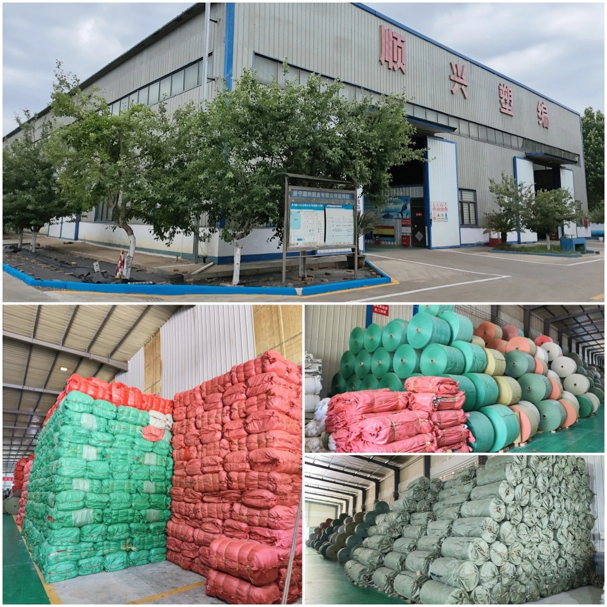product-1200-1200 product-1200-1200