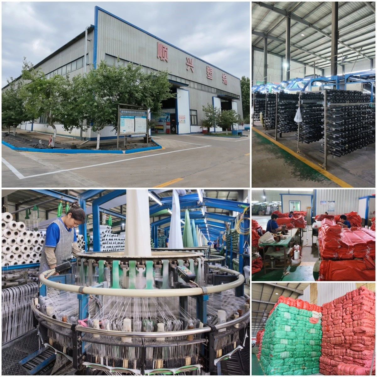 product-1200-1200 product-1200-1200